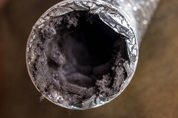 Best Residential Air Duct Cleaning  in Sylvania, AL